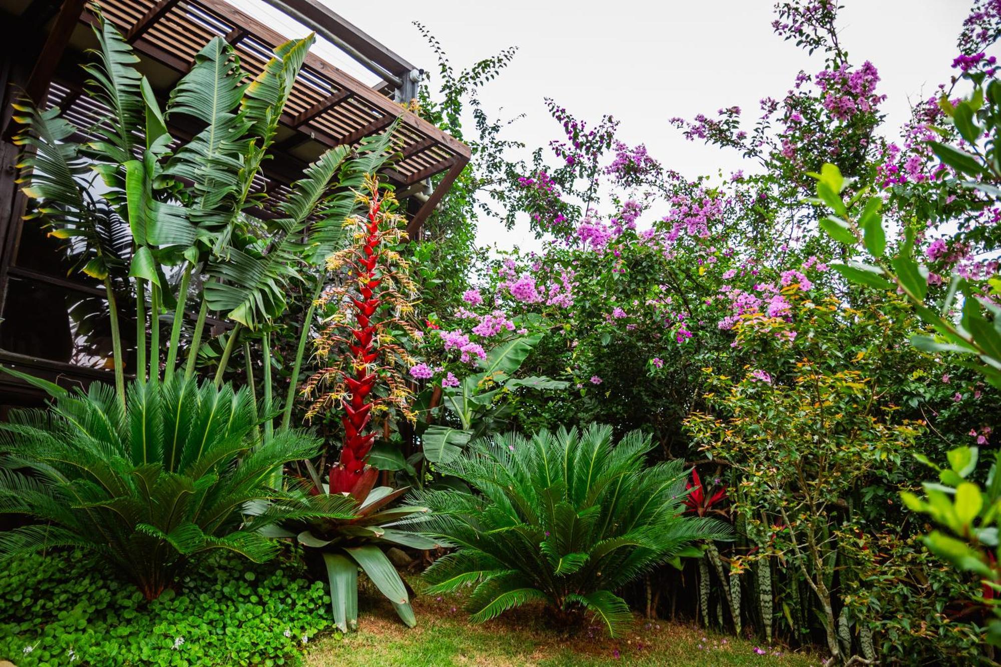 Villa Ibiraquera Life Praia do Rosa Exterior foto